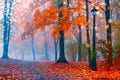 Road and vintage lantern in the autumn park. Beautiful autumn tree. Red maple in the blue fog of the park. Misty autumn park.