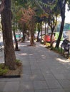 Road, walk or central pavement of a broad avenue or street, generally adorned with trees and plants.