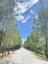 Road in Wamena