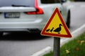 Road sign, ducks passing the road Royalty Free Stock Photo