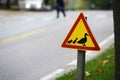 Road sign, ducks passing the road Royalty Free Stock Photo