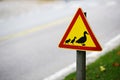 Road sign, ducks passing the road Royalty Free Stock Photo