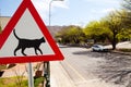 Road warning sign indicating cats are crossing