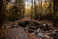 Road Washout Along Greenbrier Road