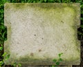 Road water Sewer cement cover with moss