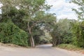 Road at the Waterberg Plateau near Otjiwarongo Royalty Free Stock Photo