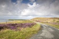Road on Waternish, Skye, Scotland Royalty Free Stock Photo