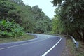 Road Way Asphalt Right Turn Forest Landscape Royalty Free Stock Photo