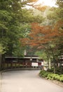 Road way and maple tree at rinnoji temple, Nikko, Japan.