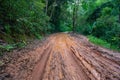 Road wet muddy of backcountry countryside in rainy day Royalty Free Stock Photo