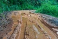 Road wet muddy of backcountry countryside in rainy day Royalty Free Stock Photo