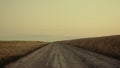 Road wheat field on sunset country landscape. Agri countryside nature concept Royalty Free Stock Photo