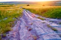 The road in a wheat field. Sunset Royalty Free Stock Photo