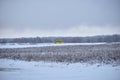 Yellow bus rides and snow-covered fields. Royalty Free Stock Photo