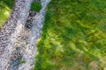 The road of white pebbles. Green shaggy grass similar to the sea. View from above.