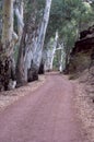 Road into Wilpena Pound from resort, SA, Australia