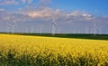 Wind turbines farm Royalty Free Stock Photo