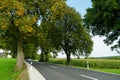 Road winding through corn fields in Bavarian countryside, Germany