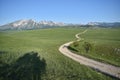 The road winding and disappearing at the distance, the Durmitor mountain at the background Royalty Free Stock Photo