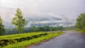 road winds through the foggy countryside