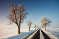 Road in Winter