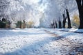 the road in winter, beautiful view, snow and frost with bright sunlight