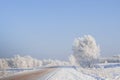 Road Through Winter  Birch Forest Covered With Hoarfrost Royalty Free Stock Photo