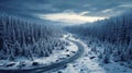 Road in winter forest, aerial view of snowy woods at sunset. Landscape with path, snow, trees and sky. Concept of nature, travel,