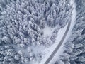 Road in winter forest bird`s eye view Royalty Free Stock Photo