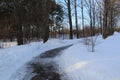 Road in winter forest