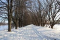 Road in winter forest