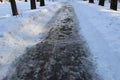 Road in winter forest