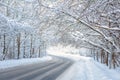 Road in winter forest. Scenic view of tunnel with snowy trees. Turn of road in woods after snowfall Royalty Free Stock Photo