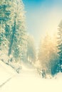 Road in the winter forest. Snow Royalty Free Stock Photo