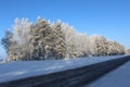 Winter highway on a sunny cold day Royalty Free Stock Photo