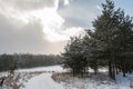 Road in the winter forest. Winter forest. Snowfall and blizzard in the forest. Trees in the snow. Winter nature. There is snow on Royalty Free Stock Photo