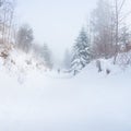 Walk in the winter foggy forest