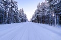 Road through winter snowy forest beyond polar circle in Lapland