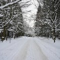 Road in winter. Snowy mountain path for a car. Concept for traveling and safe driving in winter by car Royalty Free Stock Photo