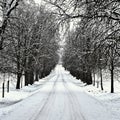 Road in winter. Snowy mountain path for a car. Concept for traveling and safe driving in winter by car