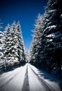 Road through Winterforest Royalty Free Stock Photo