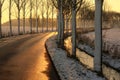 Road in wintertime Royalty Free Stock Photo