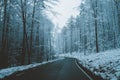 Road through wintry forest Royalty Free Stock Photo