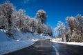 Road through wintry landscape Royalty Free Stock Photo