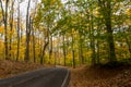 Road in the wood during autumn season Royalty Free Stock Photo