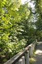 Road in the Wood at Baile Herculane Resort in Romania Royalty Free Stock Photo