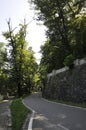 Road in the Wood at Baile Herculane Resort in Romania Royalty Free Stock Photo