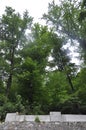 Road in the Wood at Baile Herculane Resort in Romania Royalty Free Stock Photo