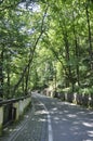 Road in the Wood at Baile Herculane Resort in Romania Royalty Free Stock Photo