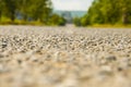 Road in the woods, asphalt horizontal Royalty Free Stock Photo